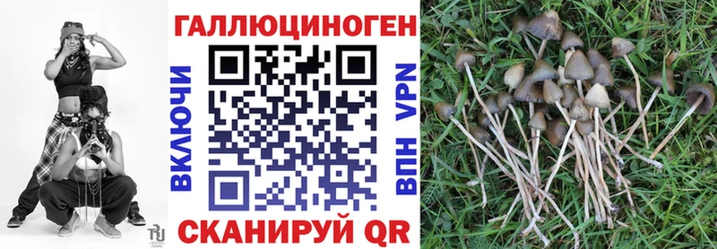 mega tor  хочу наркоту  Фокино  Галлюциногенные грибы прущие грибы 
